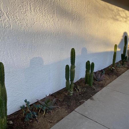Electroliquid'S Casa Pueblo Joshua Tree Villa Dış mekan fotoğraf