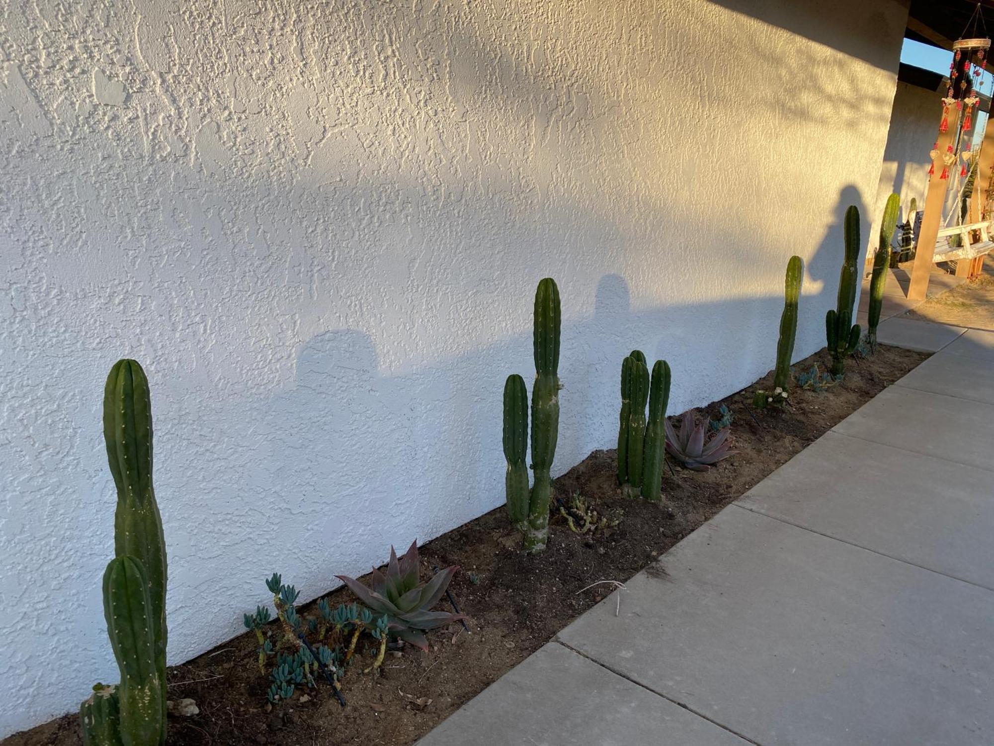 Electroliquid'S Casa Pueblo Joshua Tree Villa Dış mekan fotoğraf