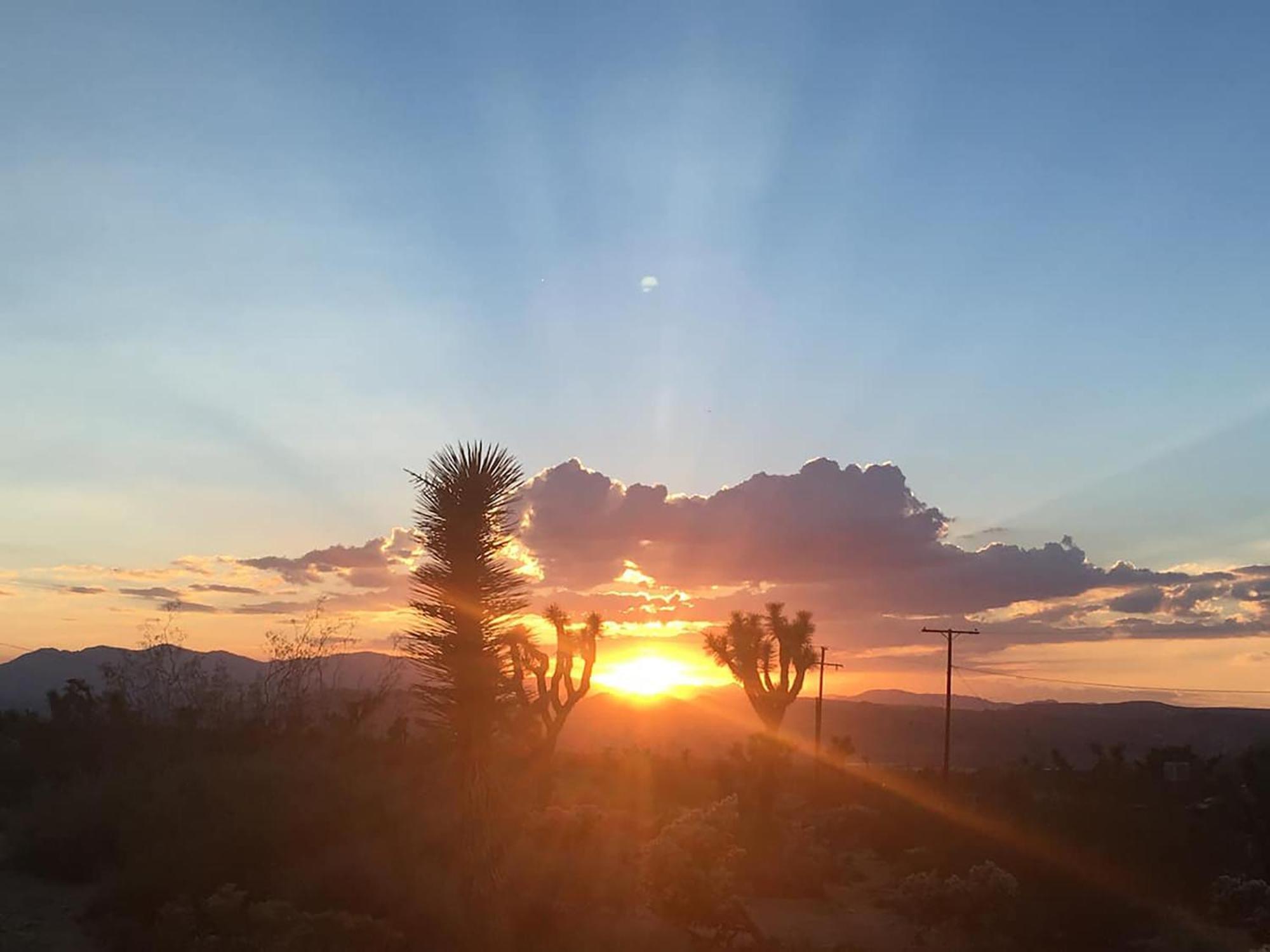Electroliquid'S Casa Pueblo Joshua Tree Villa Dış mekan fotoğraf